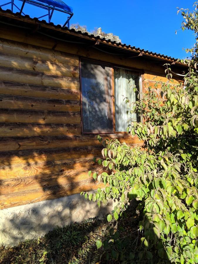 Villa Old Halidzor Exterior foto